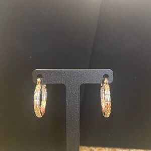 Tricolor Small Hoop Earrings